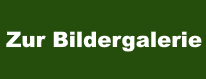 bildergalerie